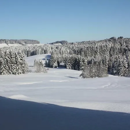 Nagelfluh Allgaeu Apartment Oberreute