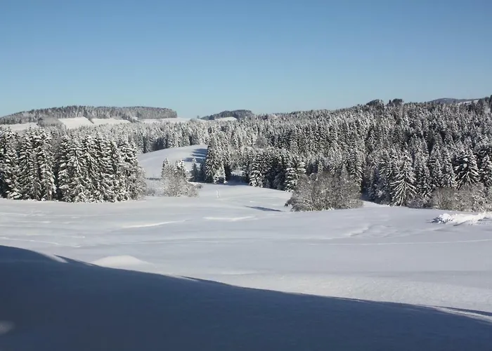 Nagelfluh Allgaeu Lejlighed Oberreute
